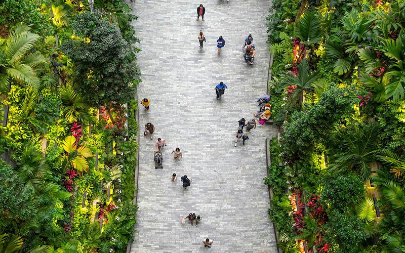 移民新加坡幾個(gè)坑？了解這些避免踩雷！