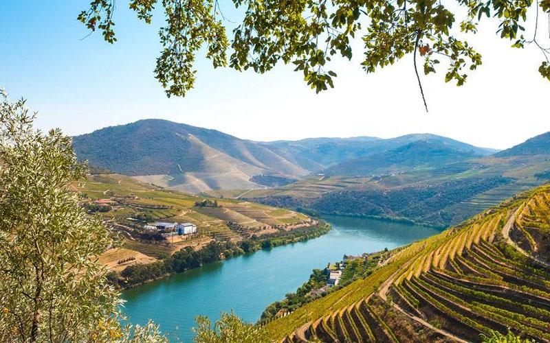 移民葡萄牙待遇好不好？全面解析生活、福利與移民優(yōu)勢(shì)