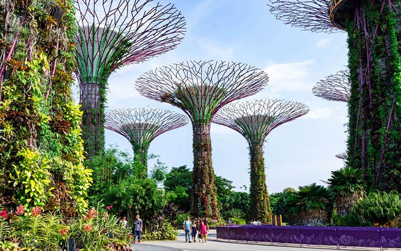 中產(chǎn)要不要移民新加坡？探討移民新加坡的優(yōu)勢與挑戰(zhàn)