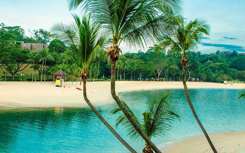 新加坡家族移民