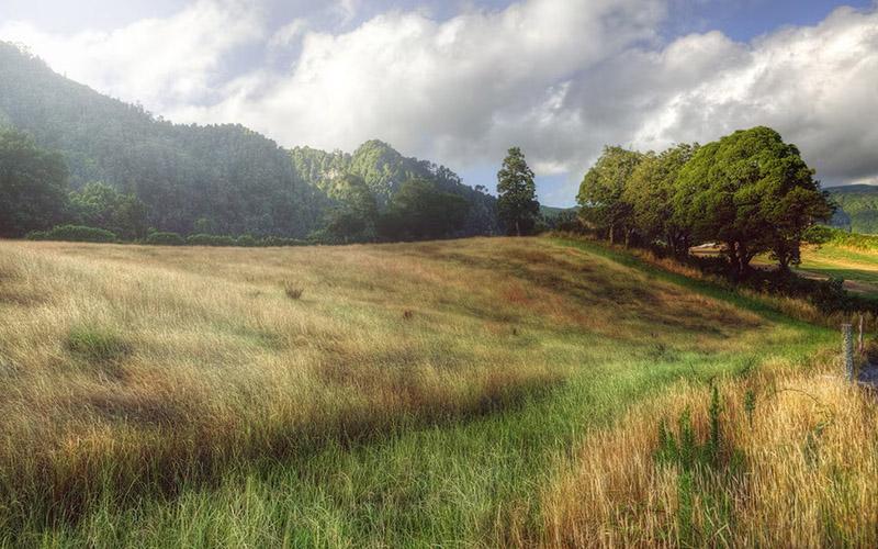 葡萄牙移民多久可以出境？移民政策全面解析