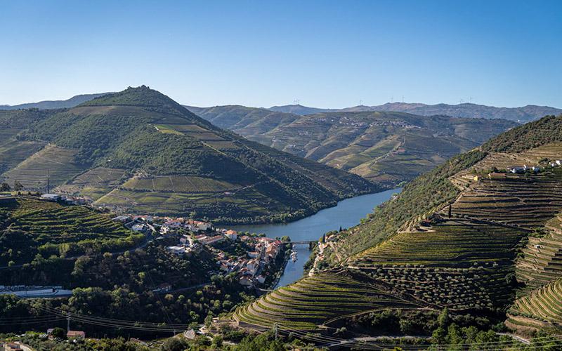 深圳投資葡萄牙公司多少？詳解費(fèi)用構(gòu)成與政策優(yōu)勢