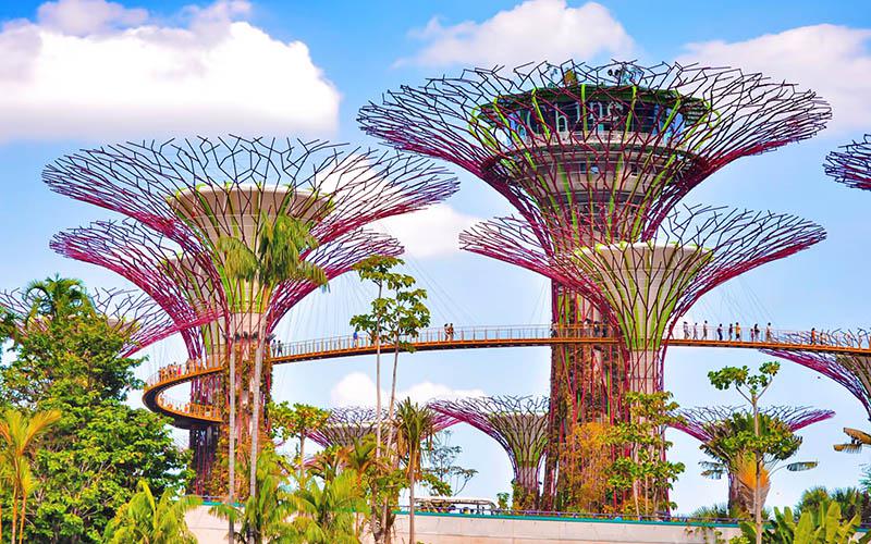 新加坡移民簽證