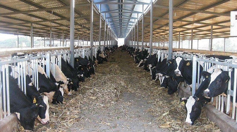 艾思捷定制款PGV035系列減速機(jī)--應(yīng)用在畜牧業(yè)、飼料行業(yè) (2).jpg